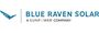 Blue Raven Solar logo